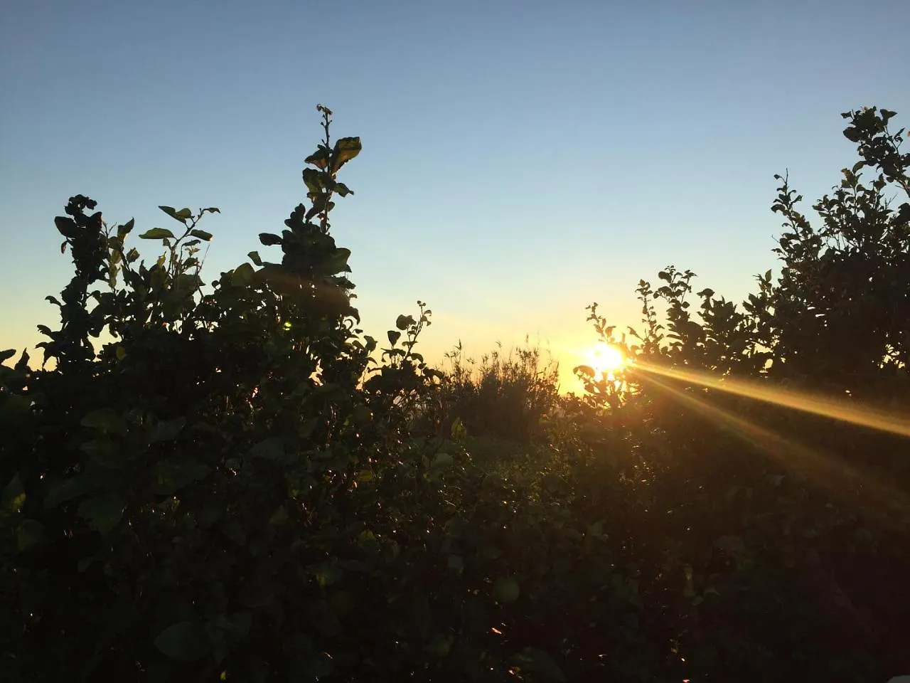 Finca Higueron Apartamento Vejer de la Frontera 0*,