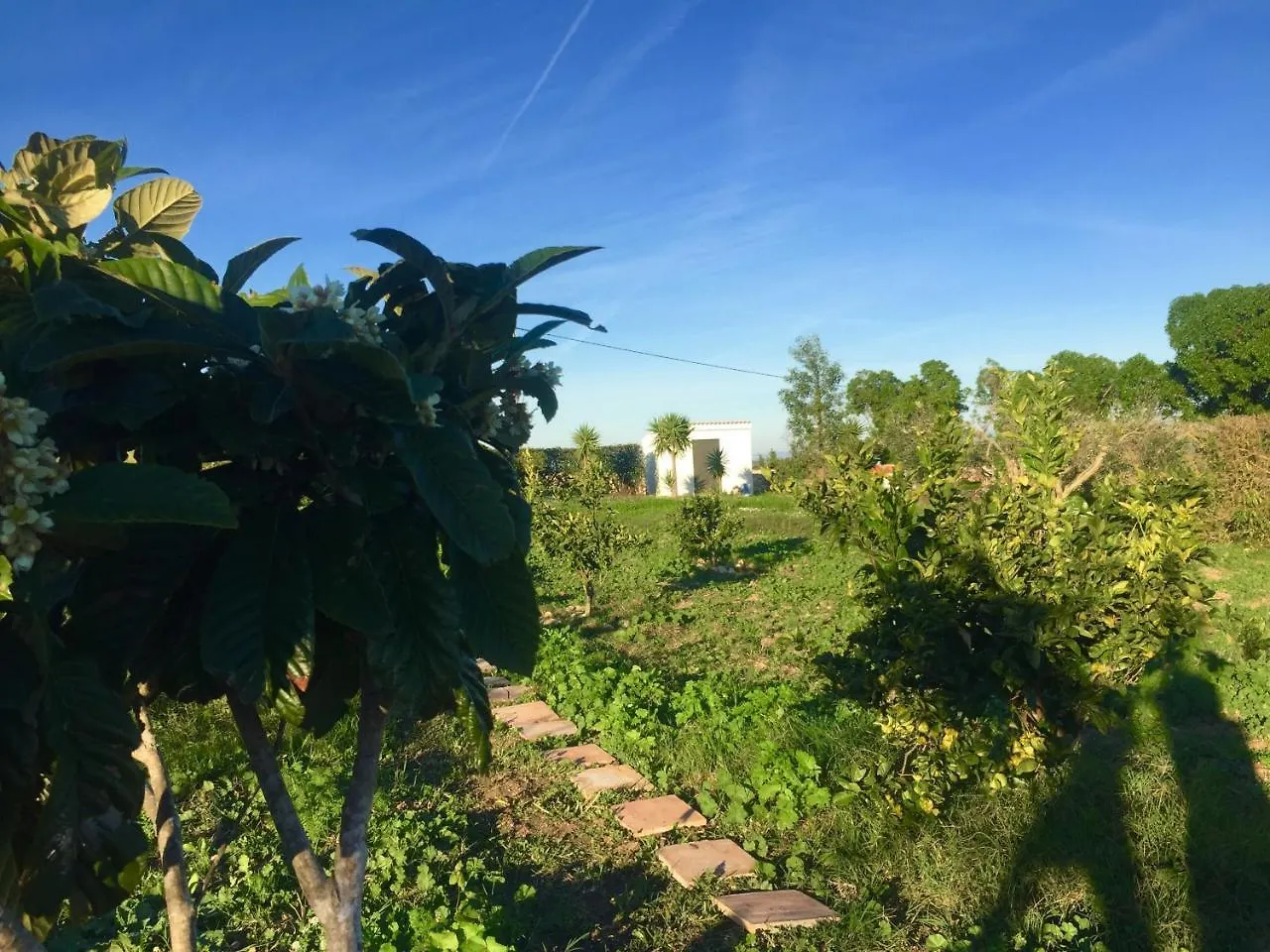 Finca Higueron Appartamento Vejer de la Frontera Alloggio in famiglia
