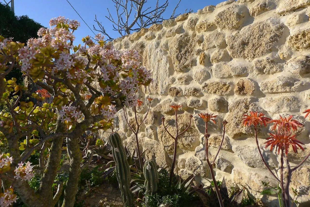 Finca Higueron Apartamento Vejer de la Frontera 0*,  España