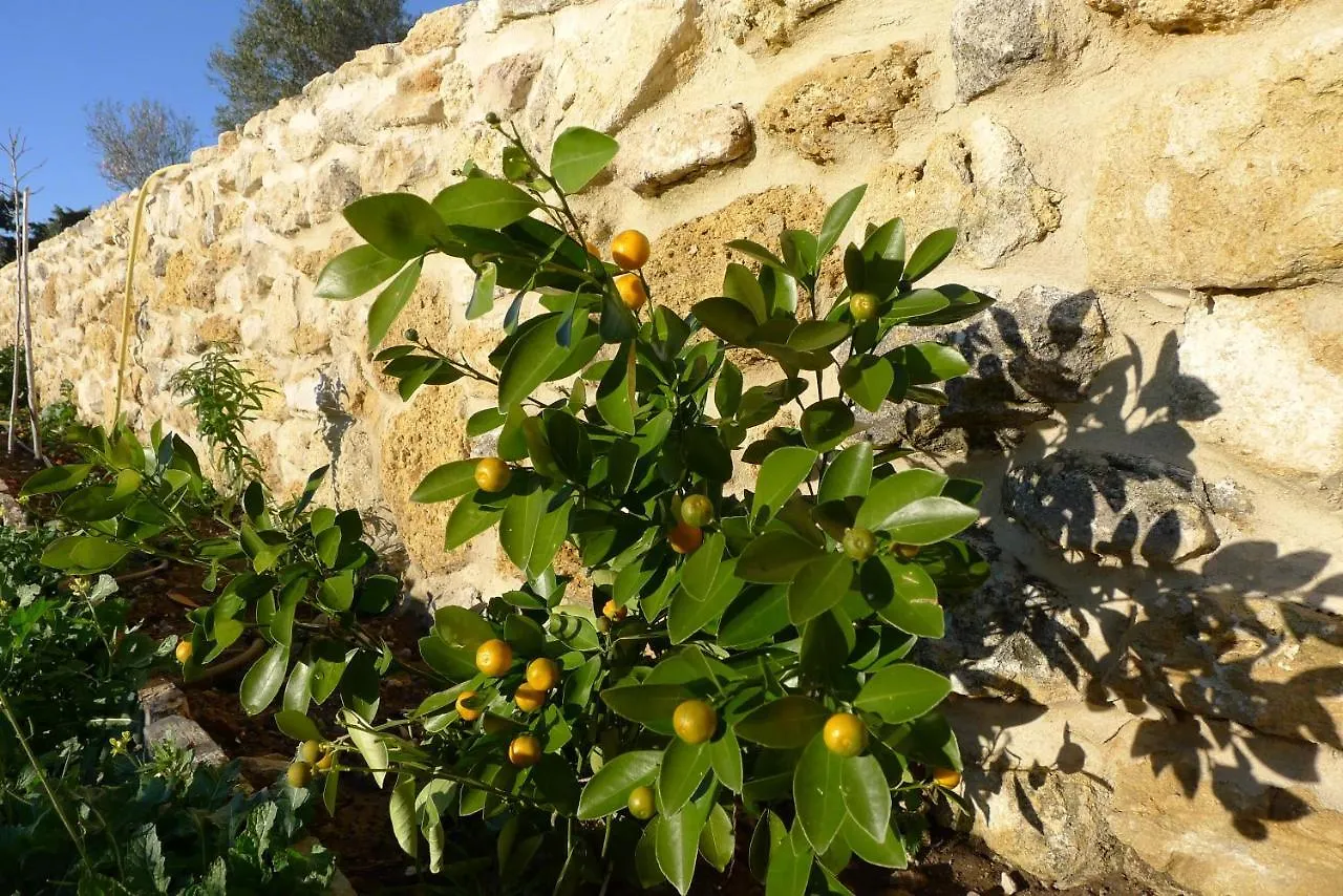 Finca Higueron Apartamento Vejer de la Frontera