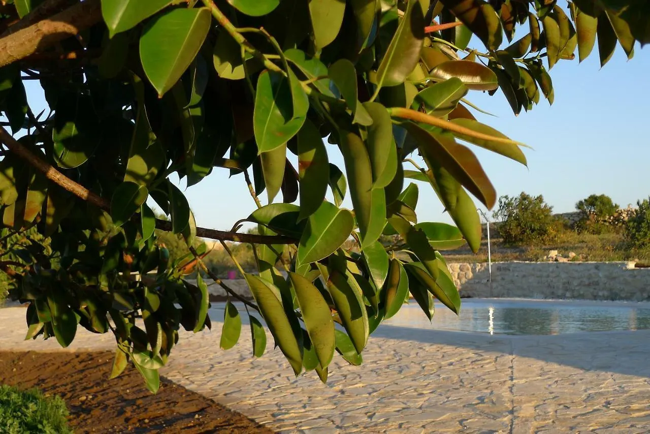 Homestay Finca Higueron Apartment Vejer de la Frontera