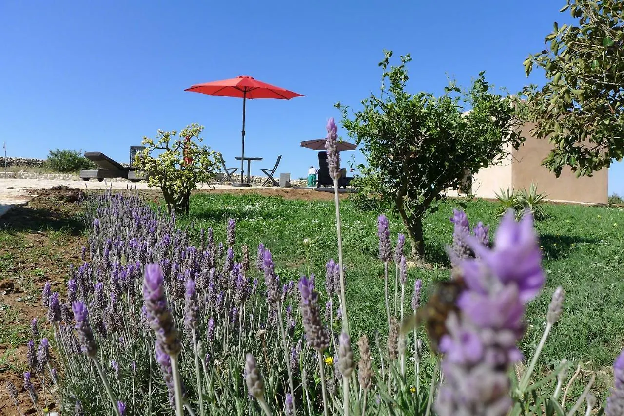 Finca Higueron Apartamento Vejer de la Frontera 0*,  España