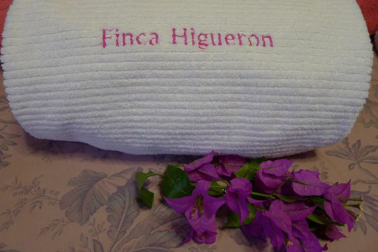 Finca Higueron Appartamento Vejer de la Frontera