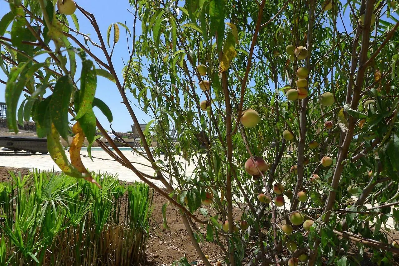Finca Higueron Appartamento Vejer de la Frontera 0*,  Spagna